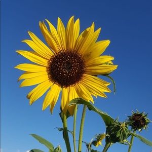 Meet your Posher, Lynn